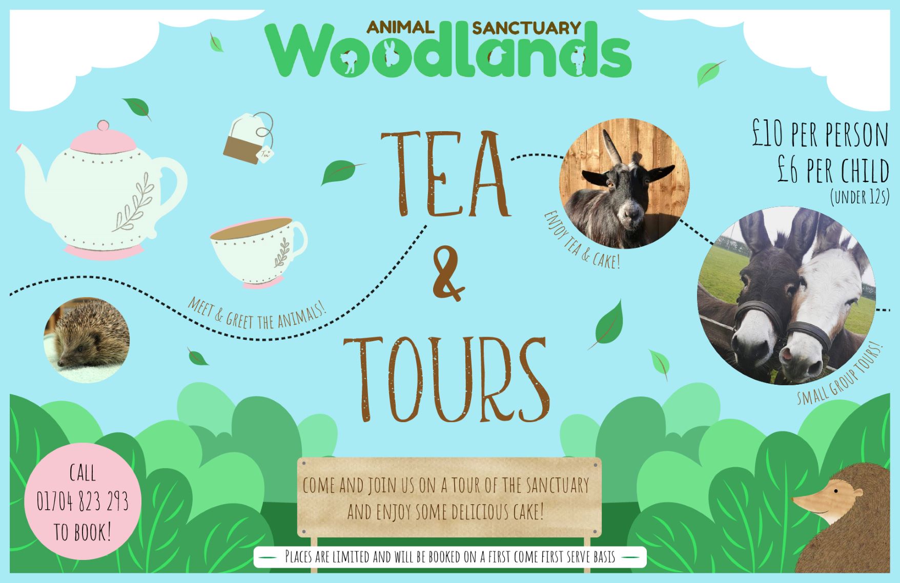 Tea & Tours