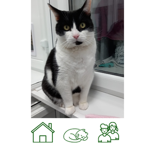 Valentine (reserved)