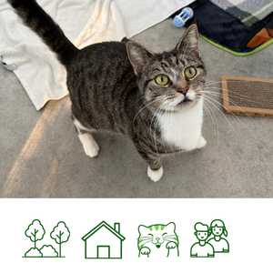 Francesca (Reserved)