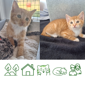 Eliza & Elspeth (Interest Pending)
