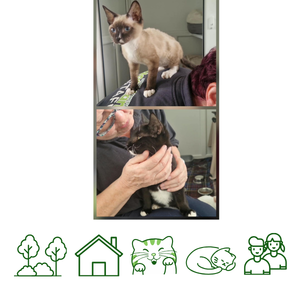 Marlon & Mike (Reserved)